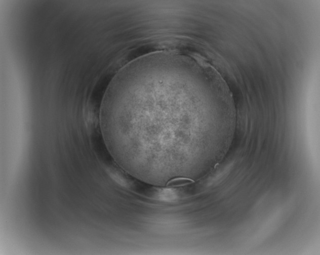 X0000112920091200908311306