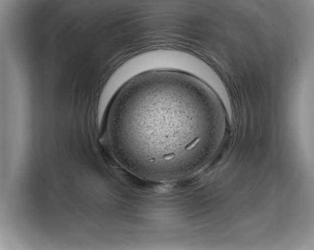 X0000112920092200908311306