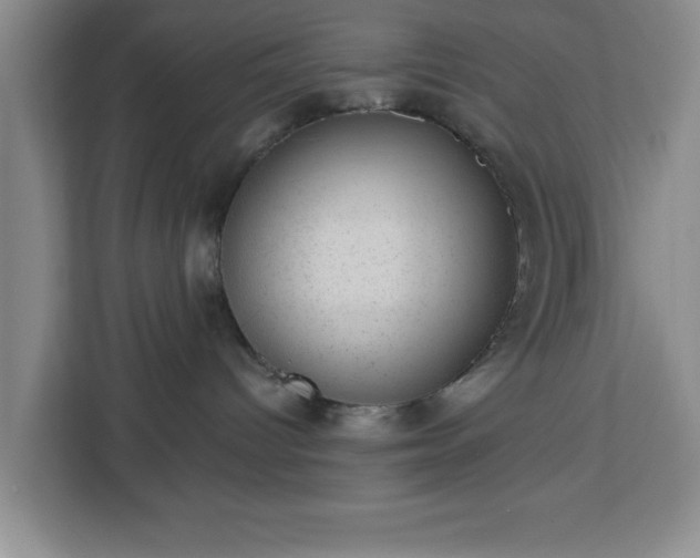 X0000112920096200908311306