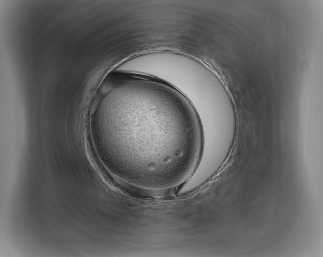 X0000112920097200908311305