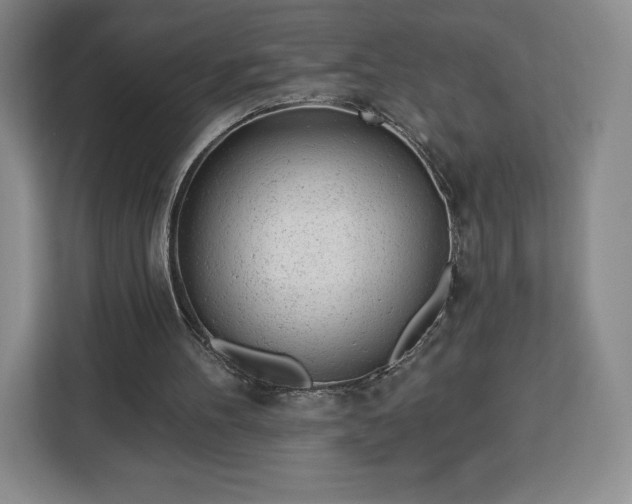 X0000112920100200908311305