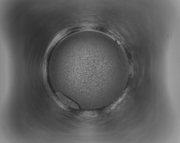 X0000112920101200908311305