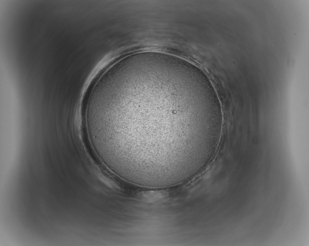 X0000112920102200908311305
