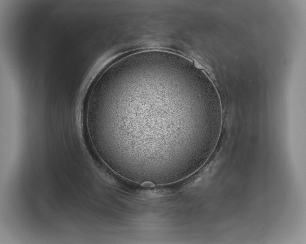 X0000112920103200908311305