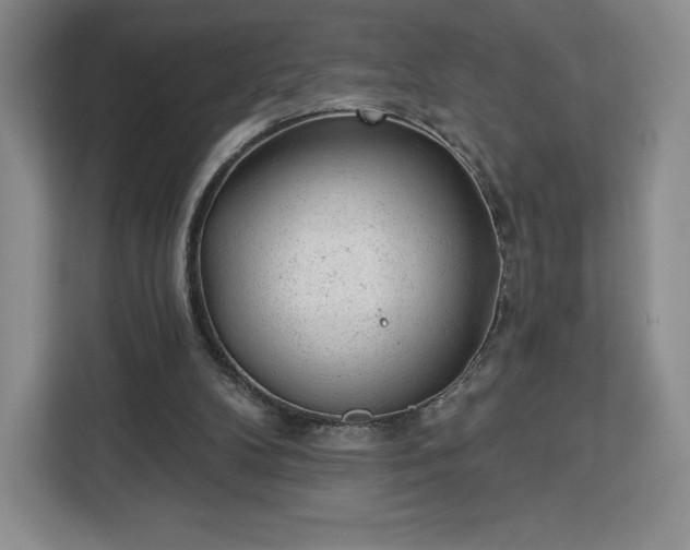 X0000112920104200908311305