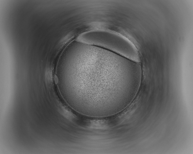 X0000112920105200908311305