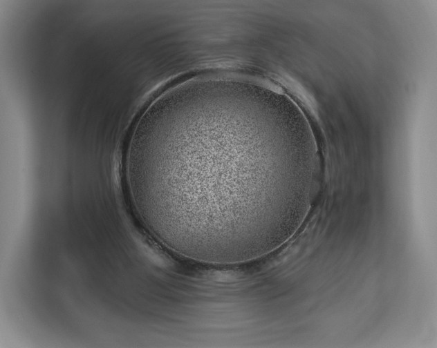 X0000112920107200908311305