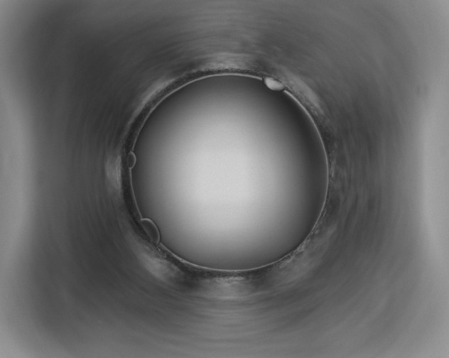 X0000112920108200908311305