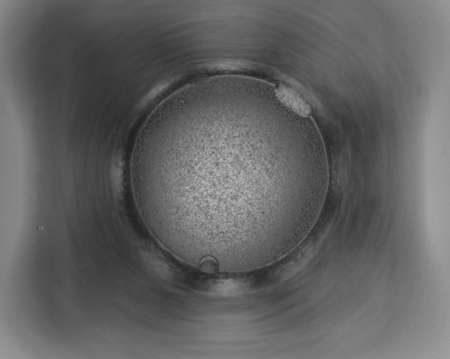 X0000112920111200908311305