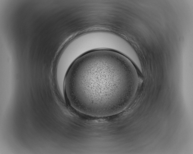 X0000112920112200908311305