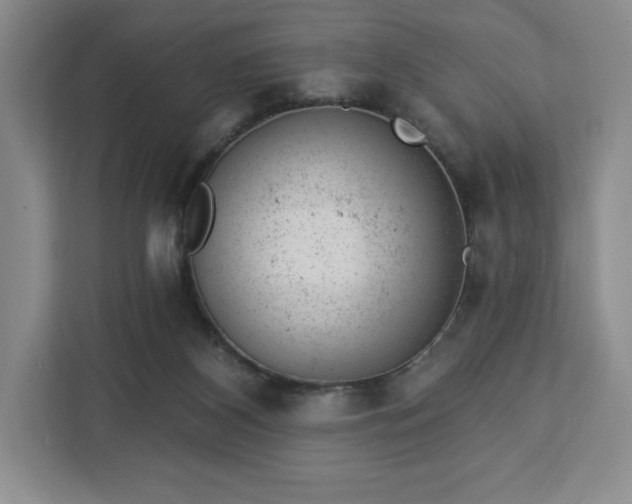 X0000112920116200908311305