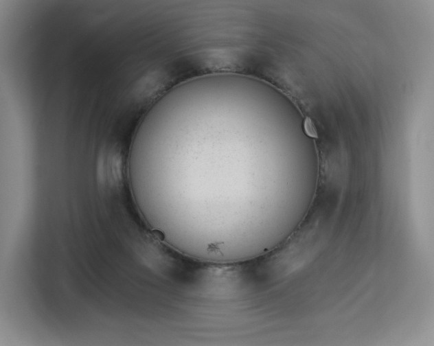 X0000112920117200908311305