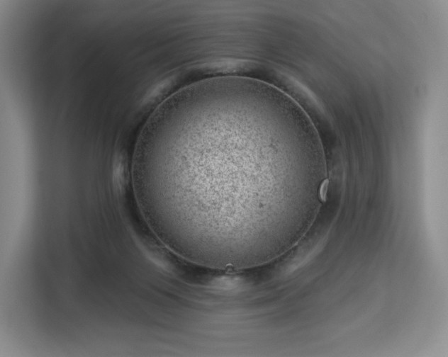 X0000112920119200908311305