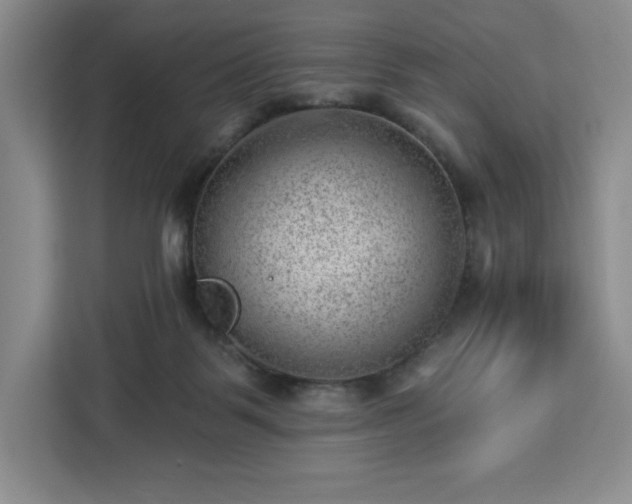 X0000112920123200908311305