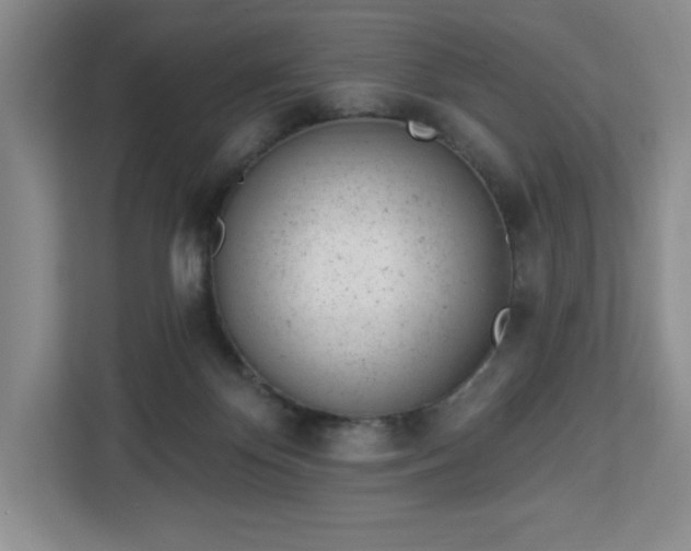 X0000112920124200908311305