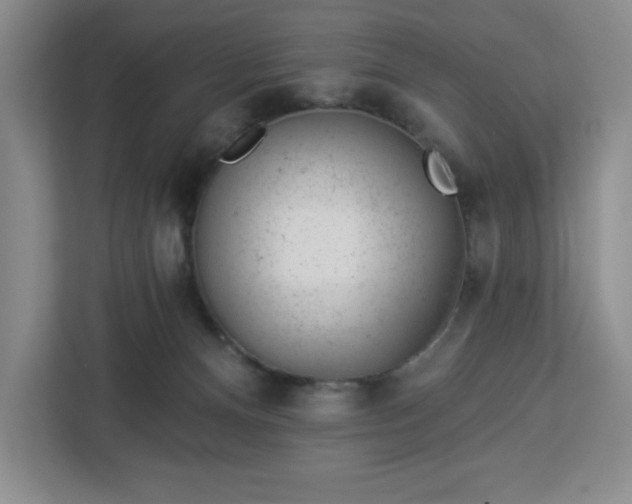 X0000112920128200908311305