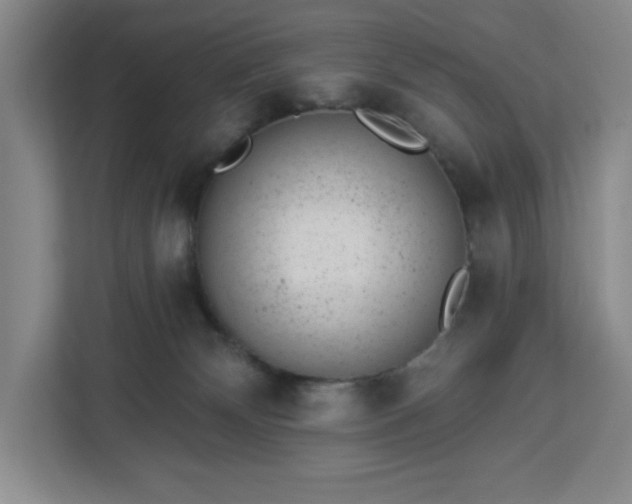 X0000112920132200908311305