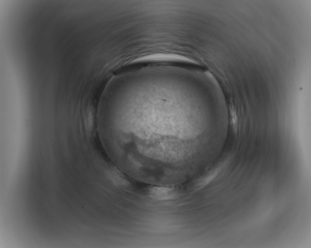 X0000112920139200908311305