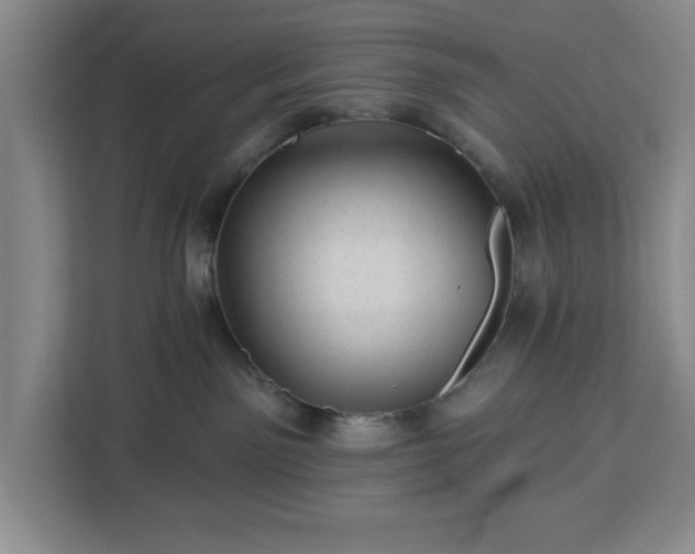 X0000112920141200908311305