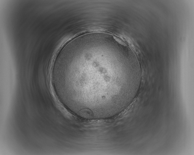 X0000112920145200908311304