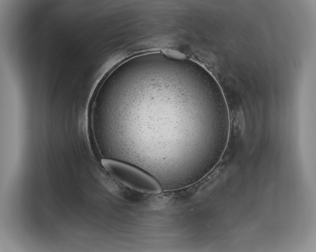 X0000112920148200908311304