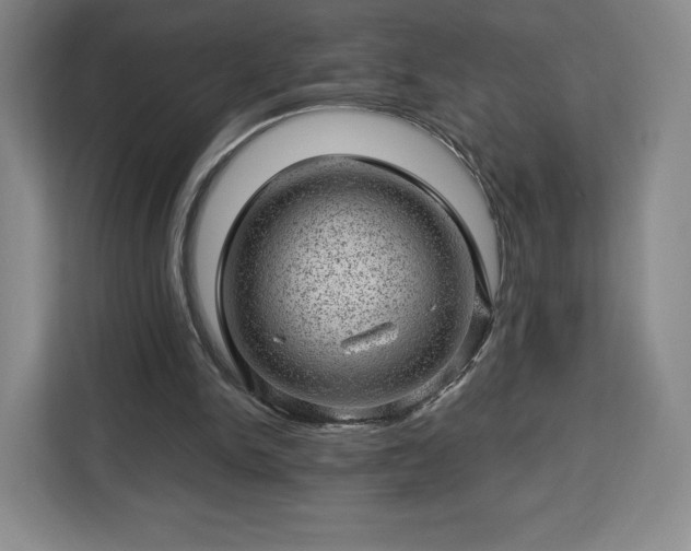 X0000112920150200908311304