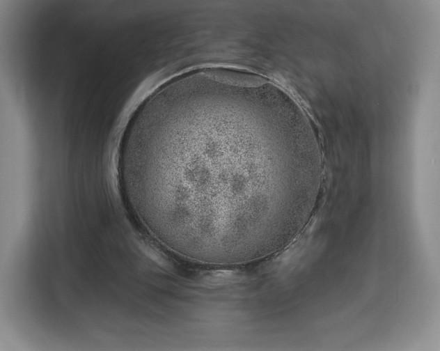 X0000112920151200908311304