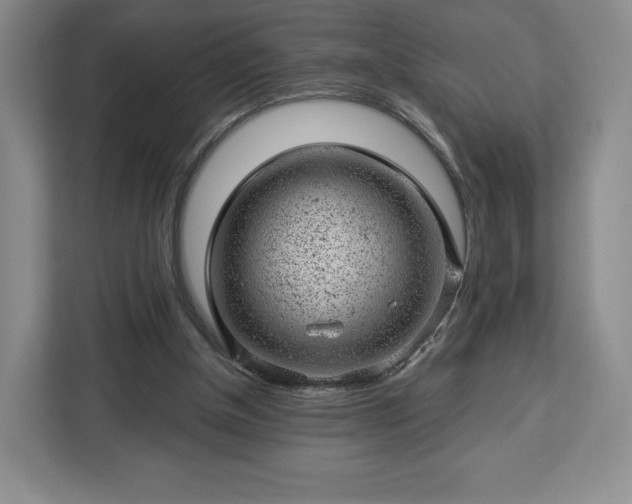 X0000112920154200908311304