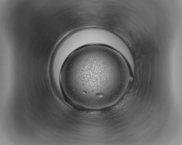 X0000112920156200908311304