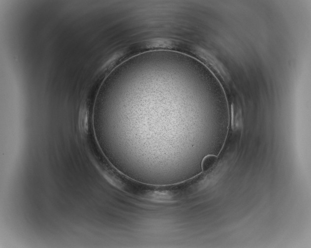 X0000112920157200908311304