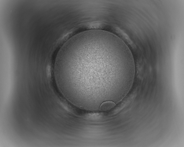 X0000112920161200908311304