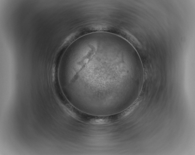 X0000112920163200908311304