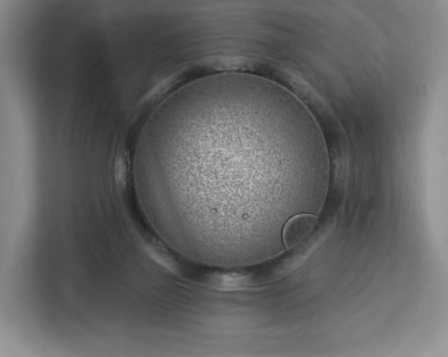 X0000112920165200908311304