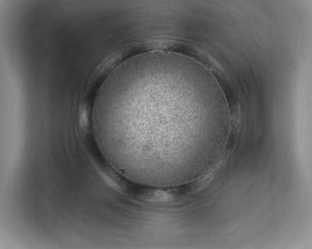 X0000112920166200908311304