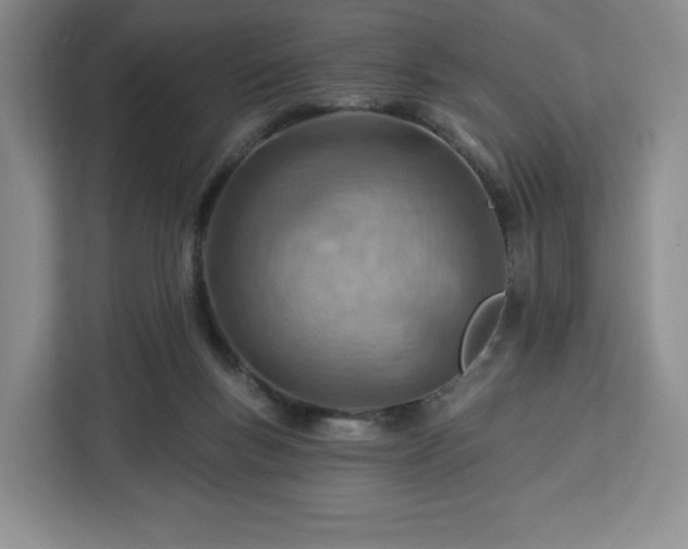 X0000112920167200908311304