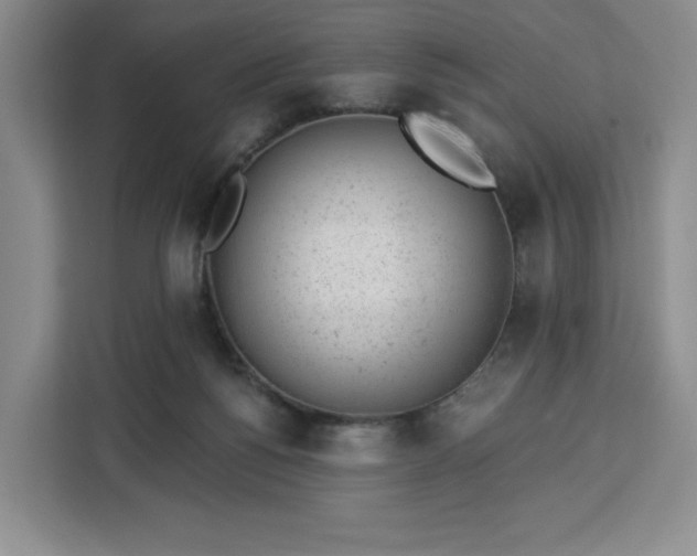 X0000112920168200908311304