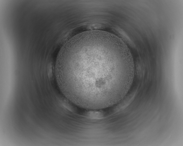 X0000112920169200908311304