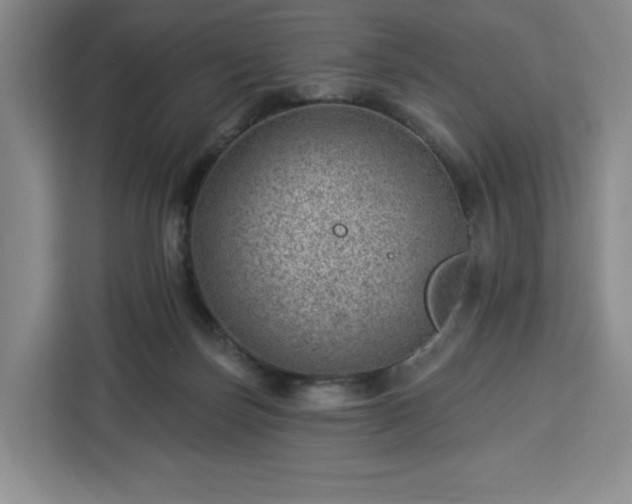 X0000112920171200908311304