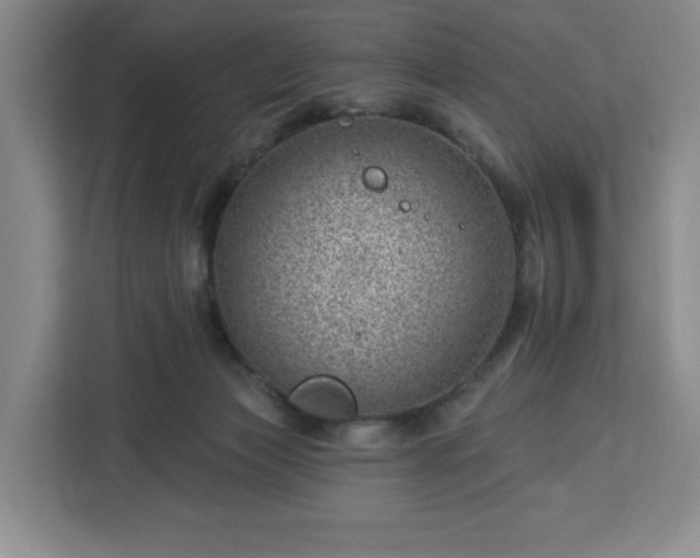 X0000112920173200908311304
