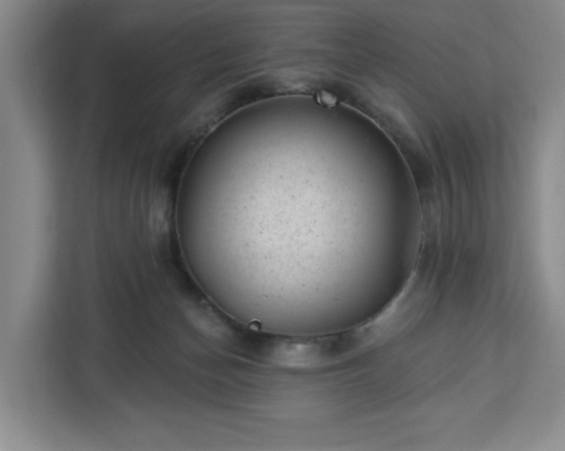 X0000112920174200908311304