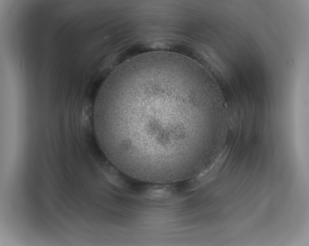X0000112920175200908311304