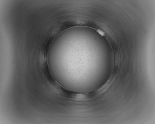 X0000112920176200908311304
