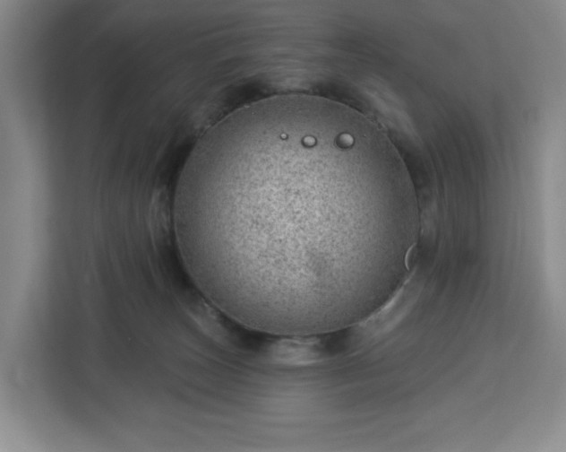 X0000112920179200908311304