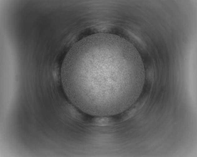 X0000112920181200908311304
