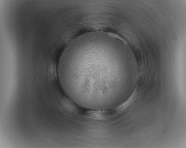 X0000112920182200908311304