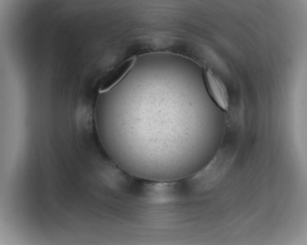 X0000112920184200908311304