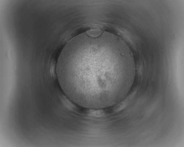 X0000112920185200908311304