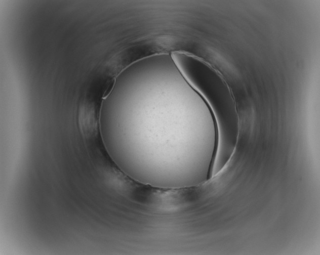 X0000112920186200908311304