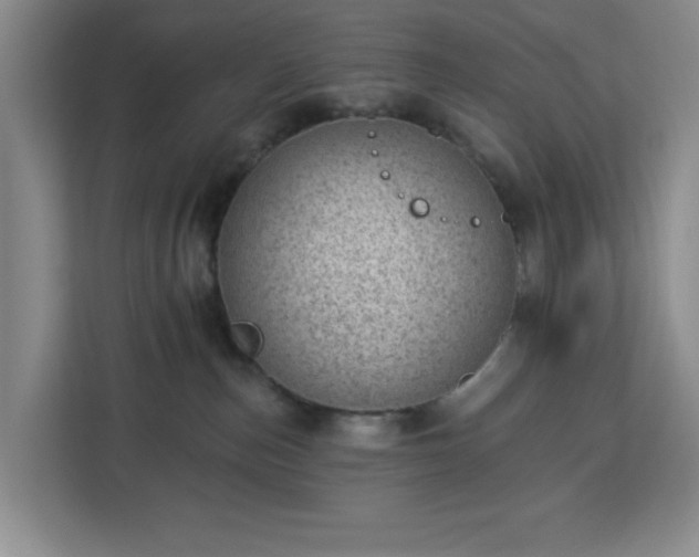 X0000112920187200908311304