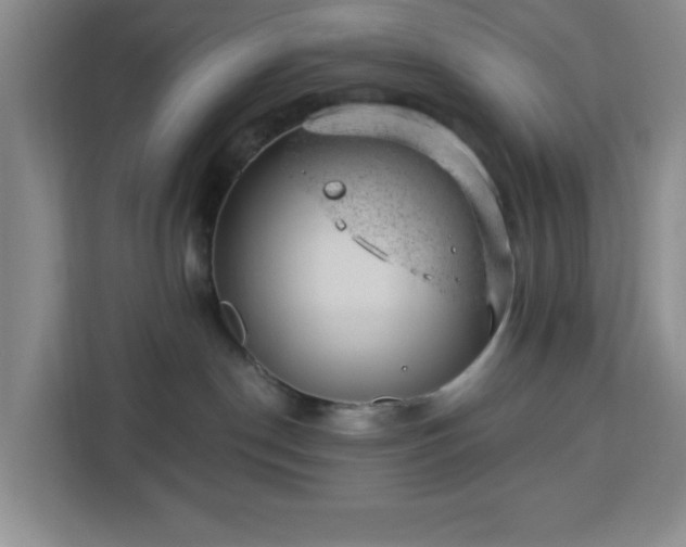 X0000112920190200908311304
